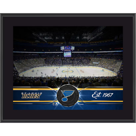 St. Louis Blues Fanatics Authentic 10.5_ x 13_ Sublimated Team Plaque