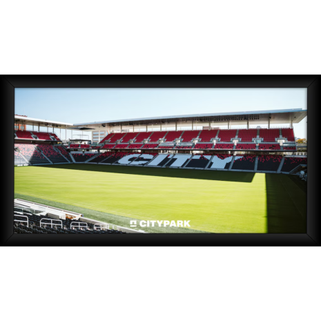 St. Louis City SC Fanatics Authentic Framed 10_ x 20_ Fan Cave Collage St. Louis City SC Fanatics Authentic Framed 10_ x 20_ Fan Cave Collage